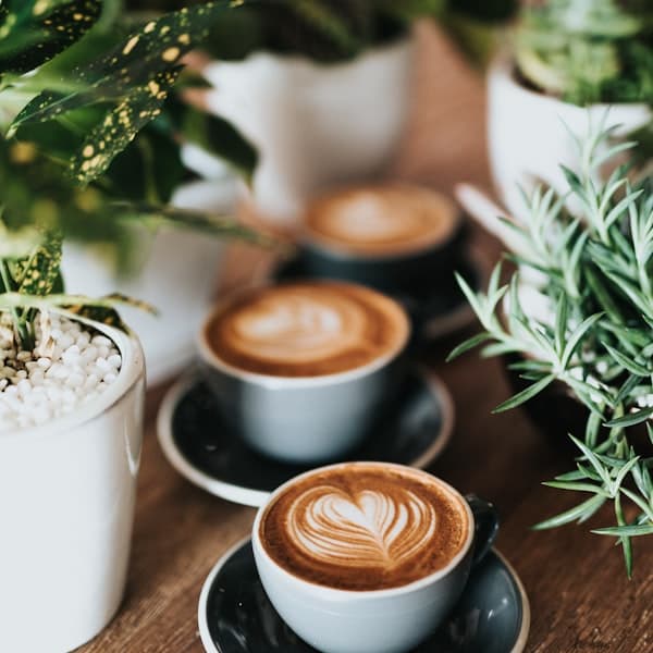 Arabica Gayo